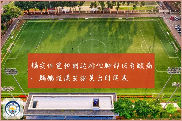 锡安体重控制达标但脚部仍有酸痛，鹈鹕谨慎安排复出时间表