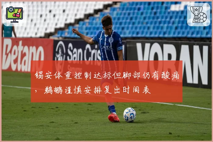 锡安体重控制达标但脚部仍有酸痛，鹈鹕谨慎安排复出时间表