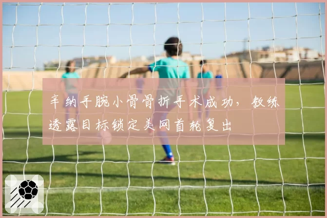 辛纳手腕小骨骨折手术成功,教练透露目标锁定美网首轮复出
