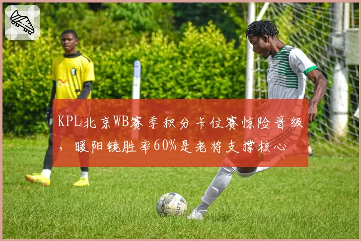 KPL北京WB赛季积分卡位赛惊险晋级，暖阳镜胜率60%是老将支撑核心