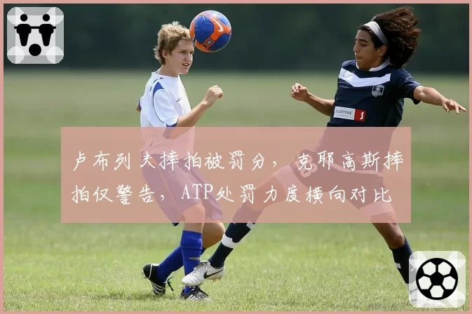 卢布列夫摔拍被罚分，克耶高斯摔拍仅警告，ATP处罚力度横向对比